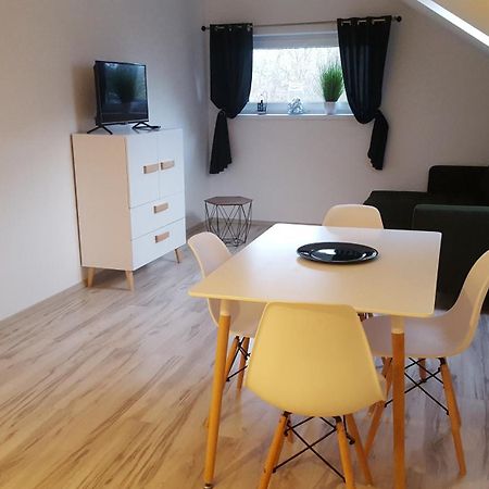 Apartamenty - Pod Wierzbami Dwikozy Ruang foto