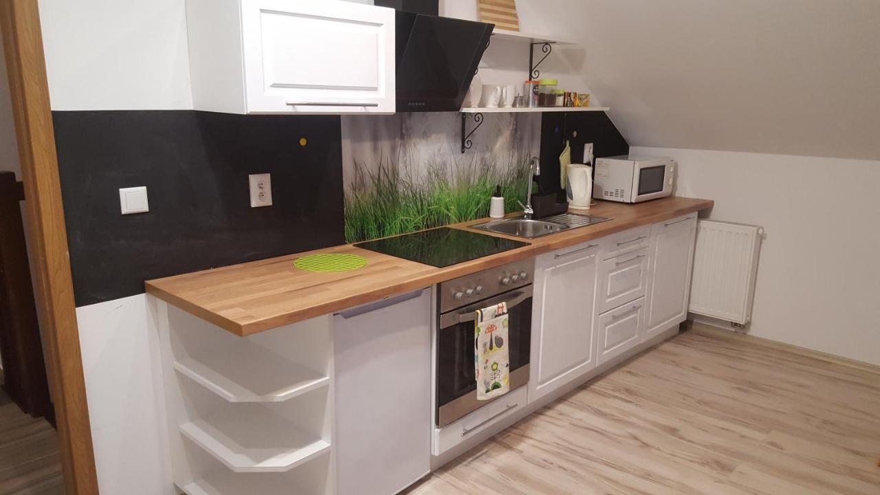 Apartamenty - Pod Wierzbami Dwikozy Bagian luar foto