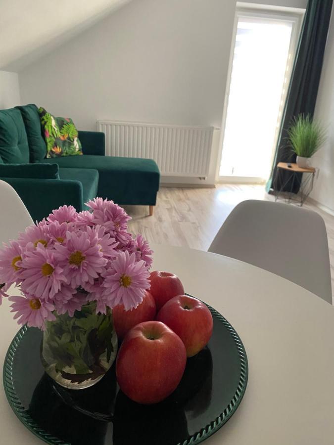 Apartamenty - Pod Wierzbami Dwikozy Bagian luar foto