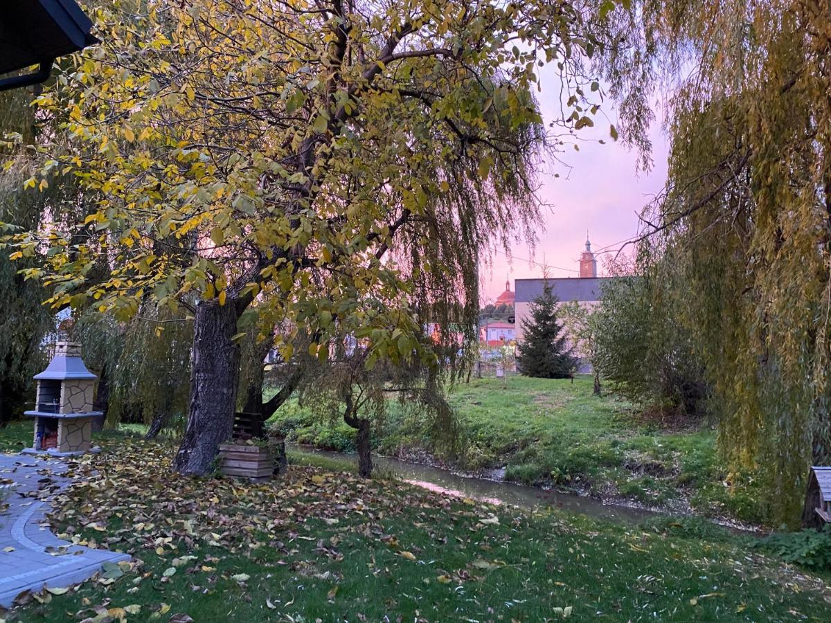 Apartamenty - Pod Wierzbami Dwikozy Bagian luar foto
